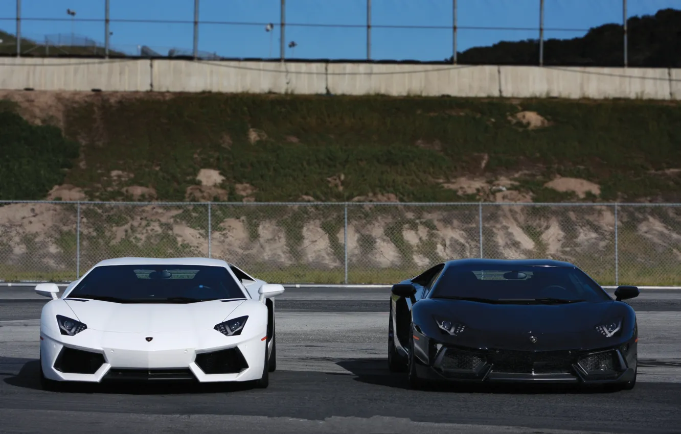 Фото обои белый, небо, асфальт, сетка, чёрный, забор, white, lamborghini