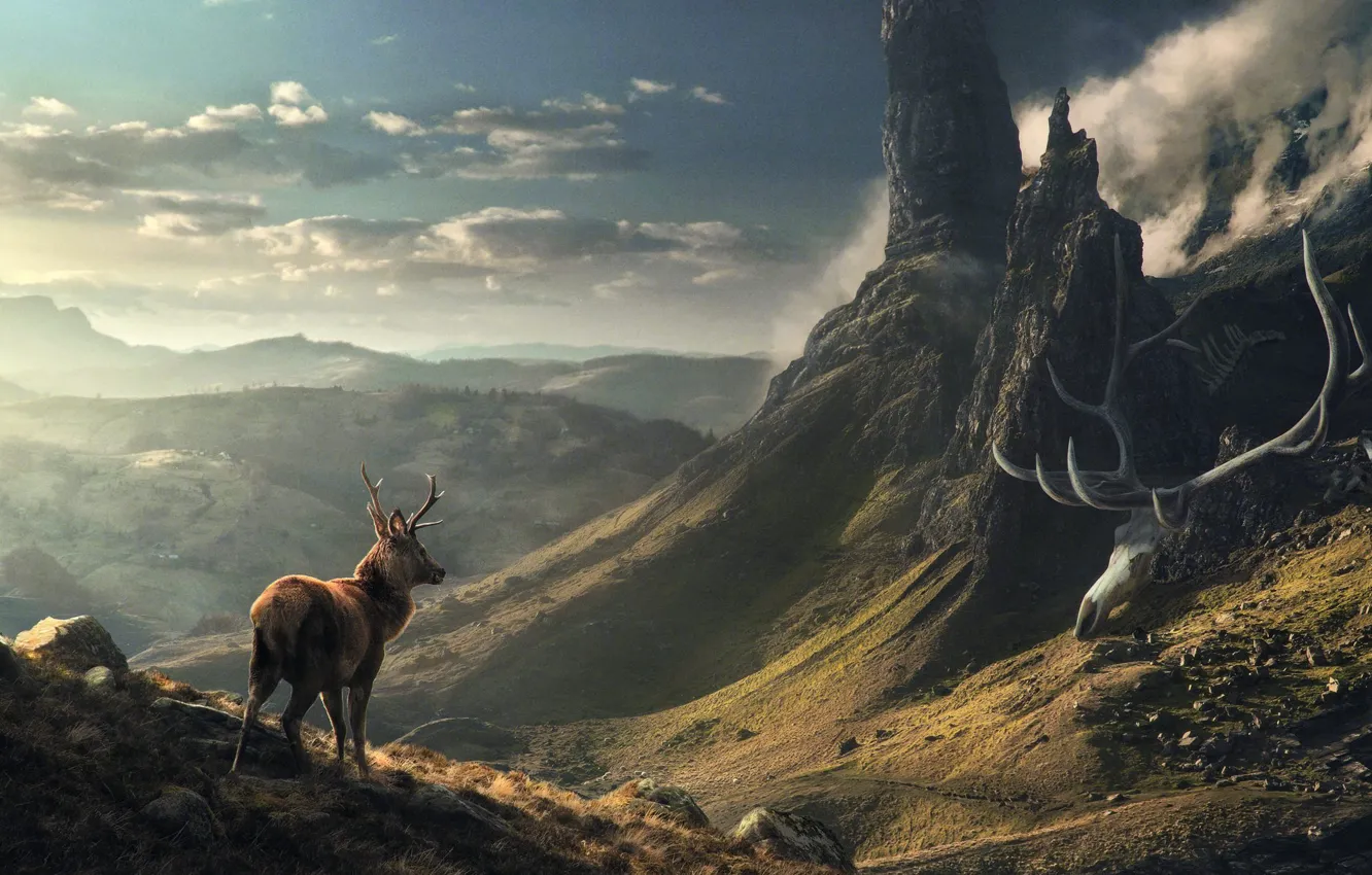 Фото обои небо, облака, горы, камни, скалы, олень, долина, останки