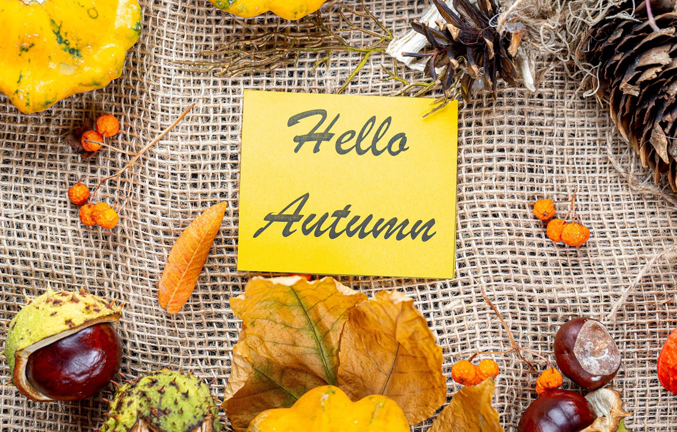 Фото обои осень, листья, ягоды, надпись, тыква, шишки, каштаны
