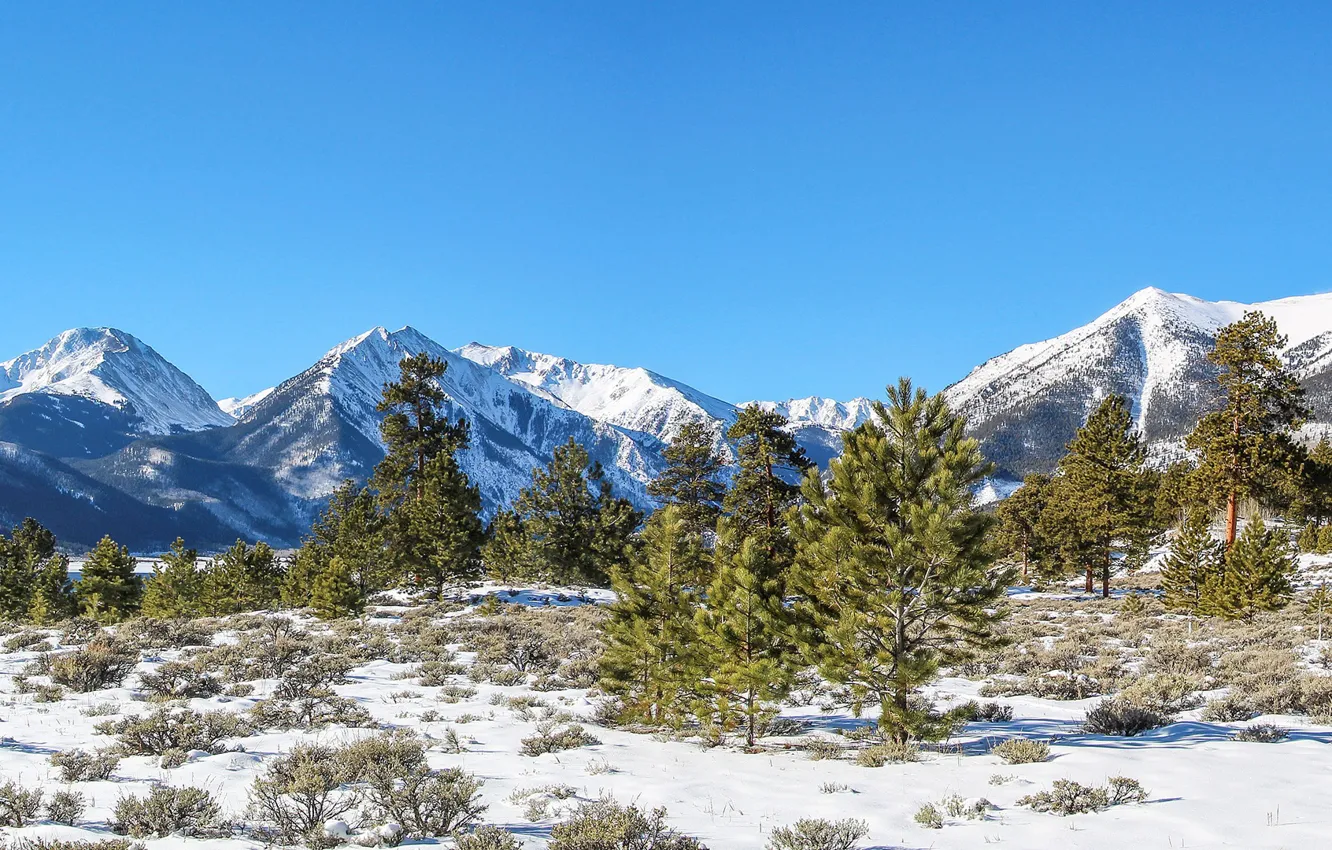 Фото обои зима, лес, небо, солнце, снег, деревья, горы, США