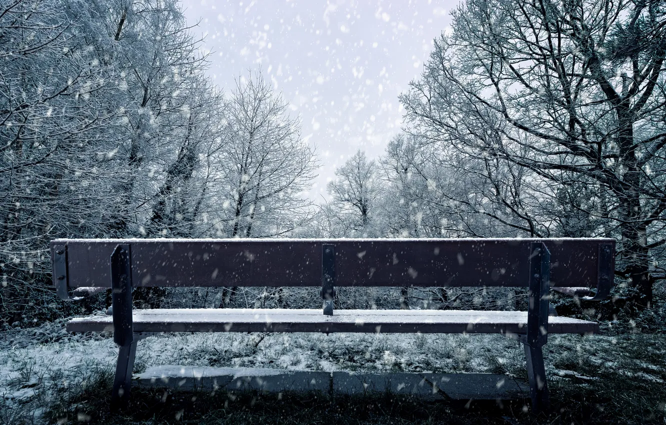 Фото обои зима, снег, скамья