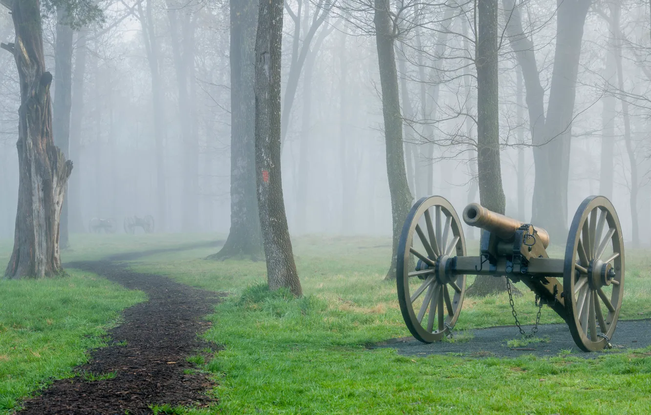 Фото обои лес, трава, туман, парк, дорожка, пушка