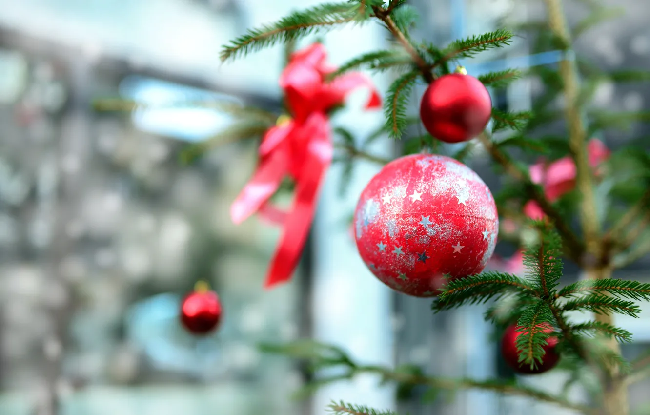 Фото обои зима, шарики, ветки, праздник, шары, размытие, Рождество, красные