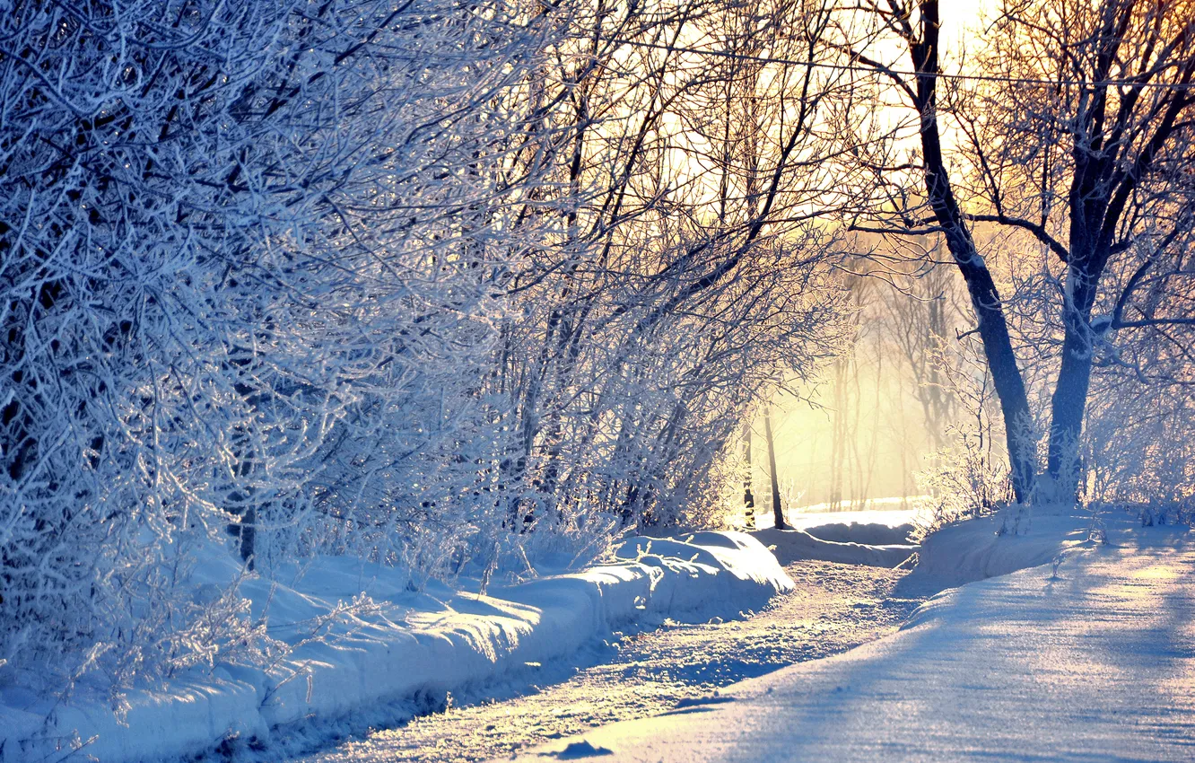 Фото обои зима, дорога, снег, деревья, природа, иний