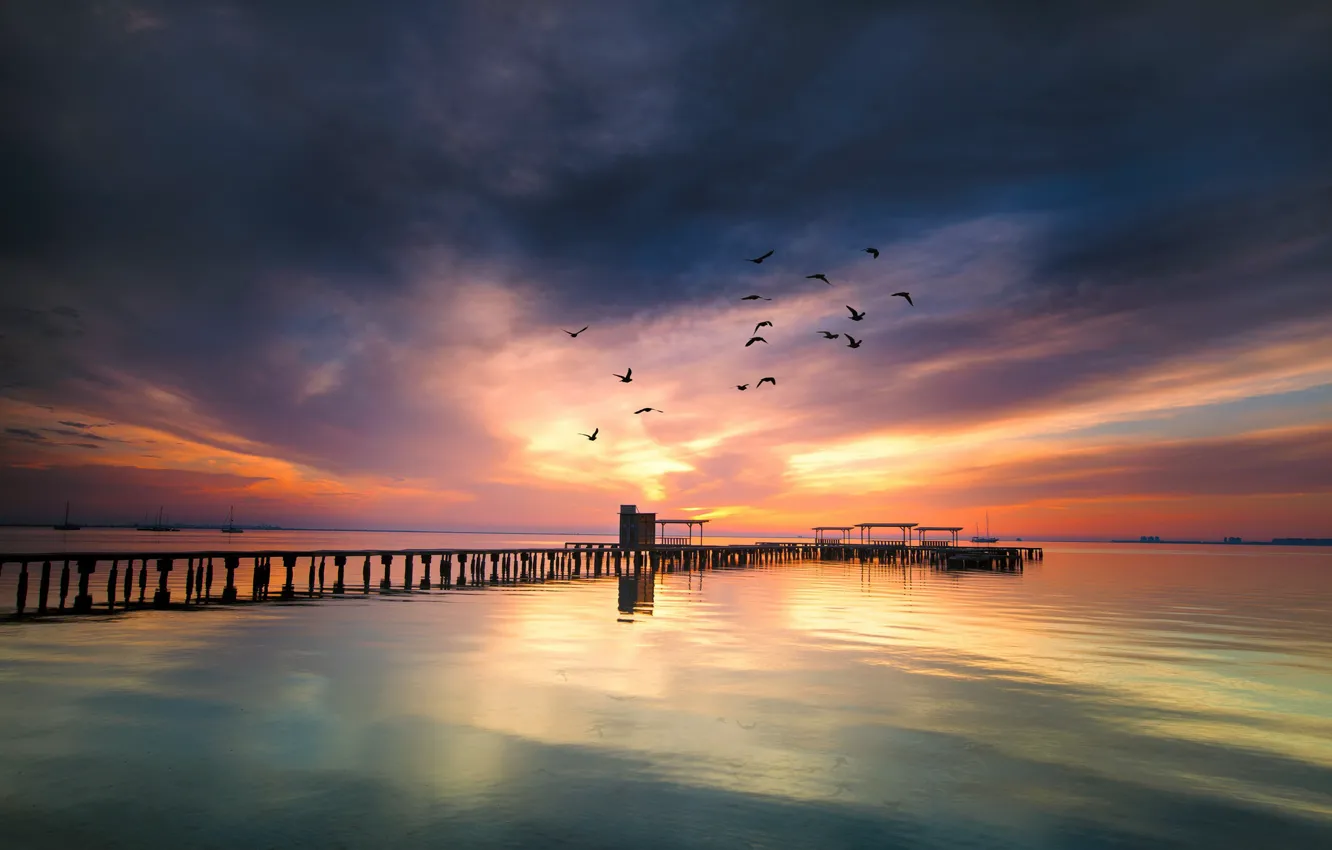 Фото обои море, закат, птицы, мост