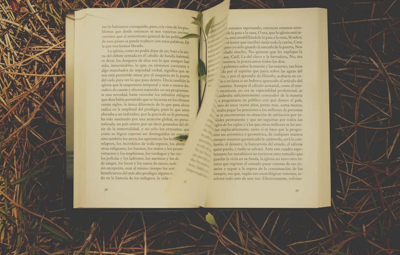 Фото обои grass, book, novel