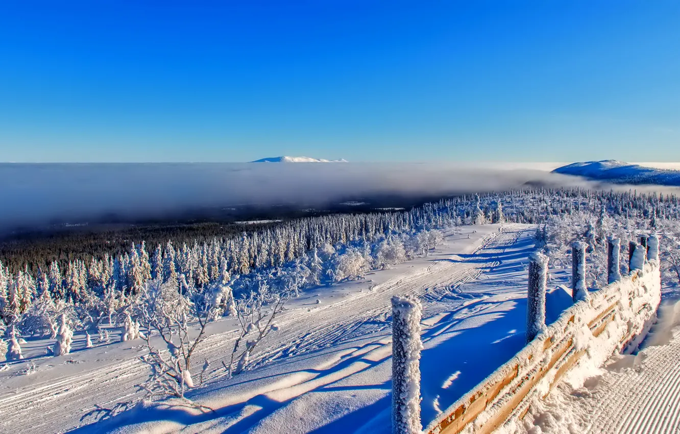 Фото обои зима, лес, небо, облака, снег, деревья, горы, забор