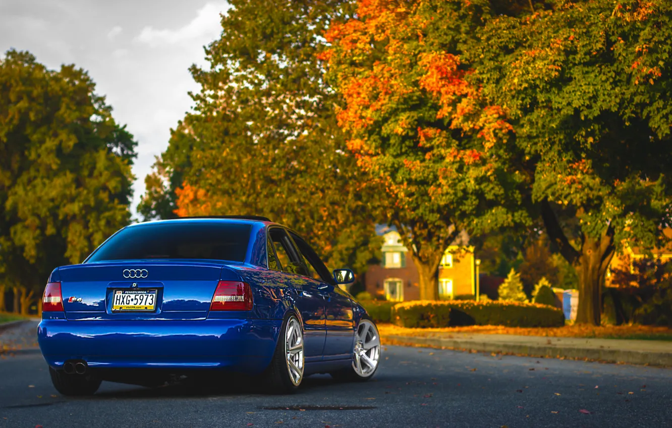 Фото обои Audi, ауди, синяя, blue