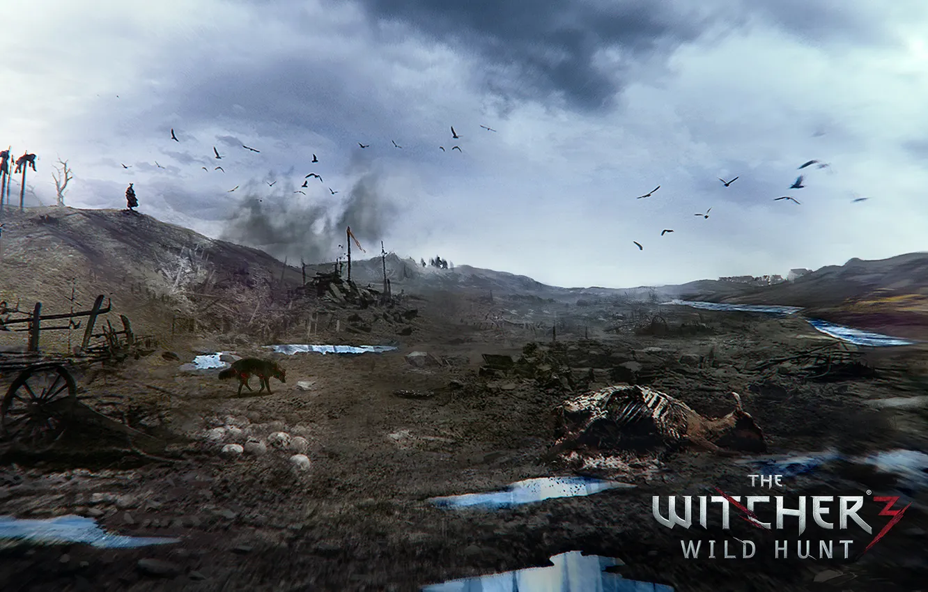 Фото обои поле боя, The Witcher 3: Wild Hunt, Ведьмак 3: Дикая охота
