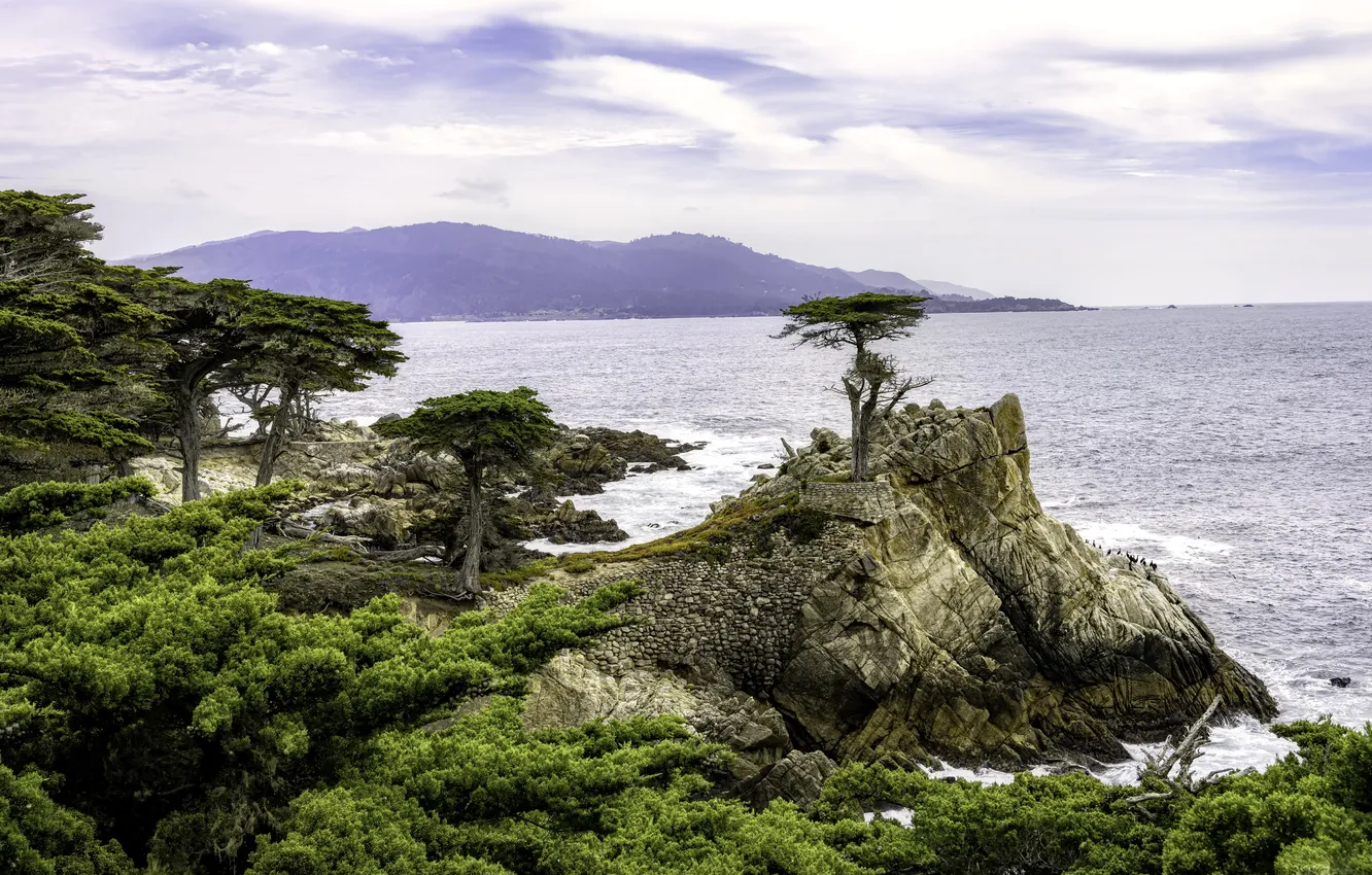 Фото обои United States, California, Del Monte Forest
