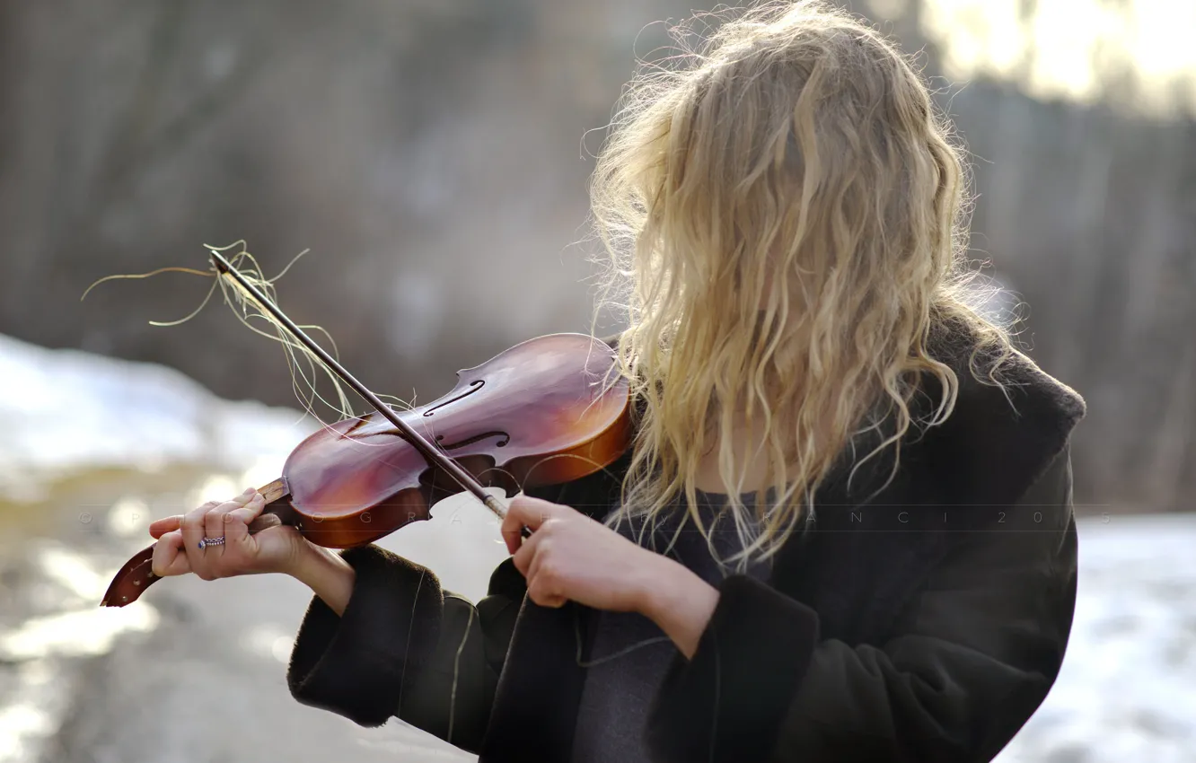 Фото обои девушка, скрипка, волосы