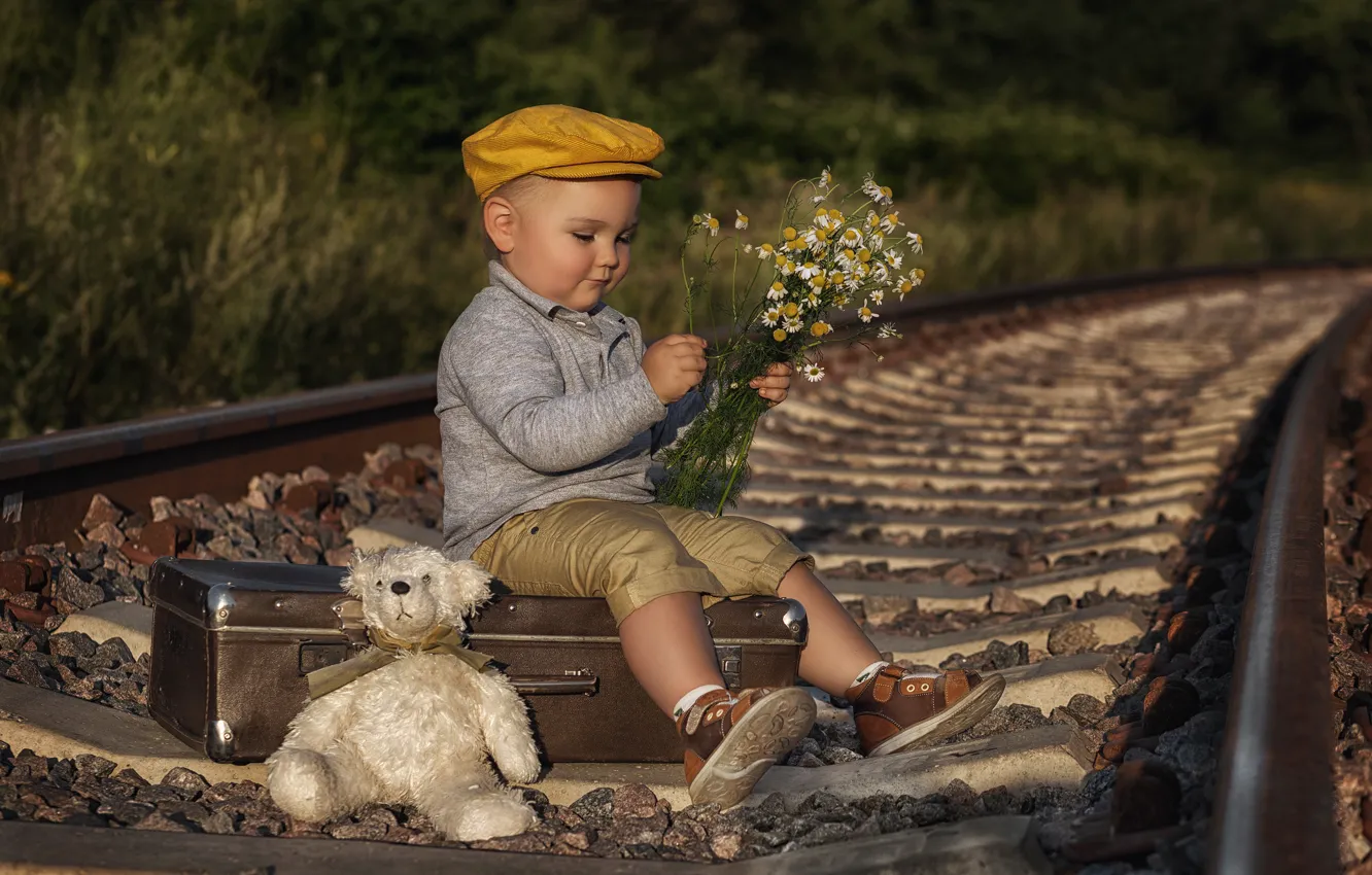 Фото обои цветы, игрушка, рельсы, ромашки, мальчик, железная дорога, медвежонок, кепка