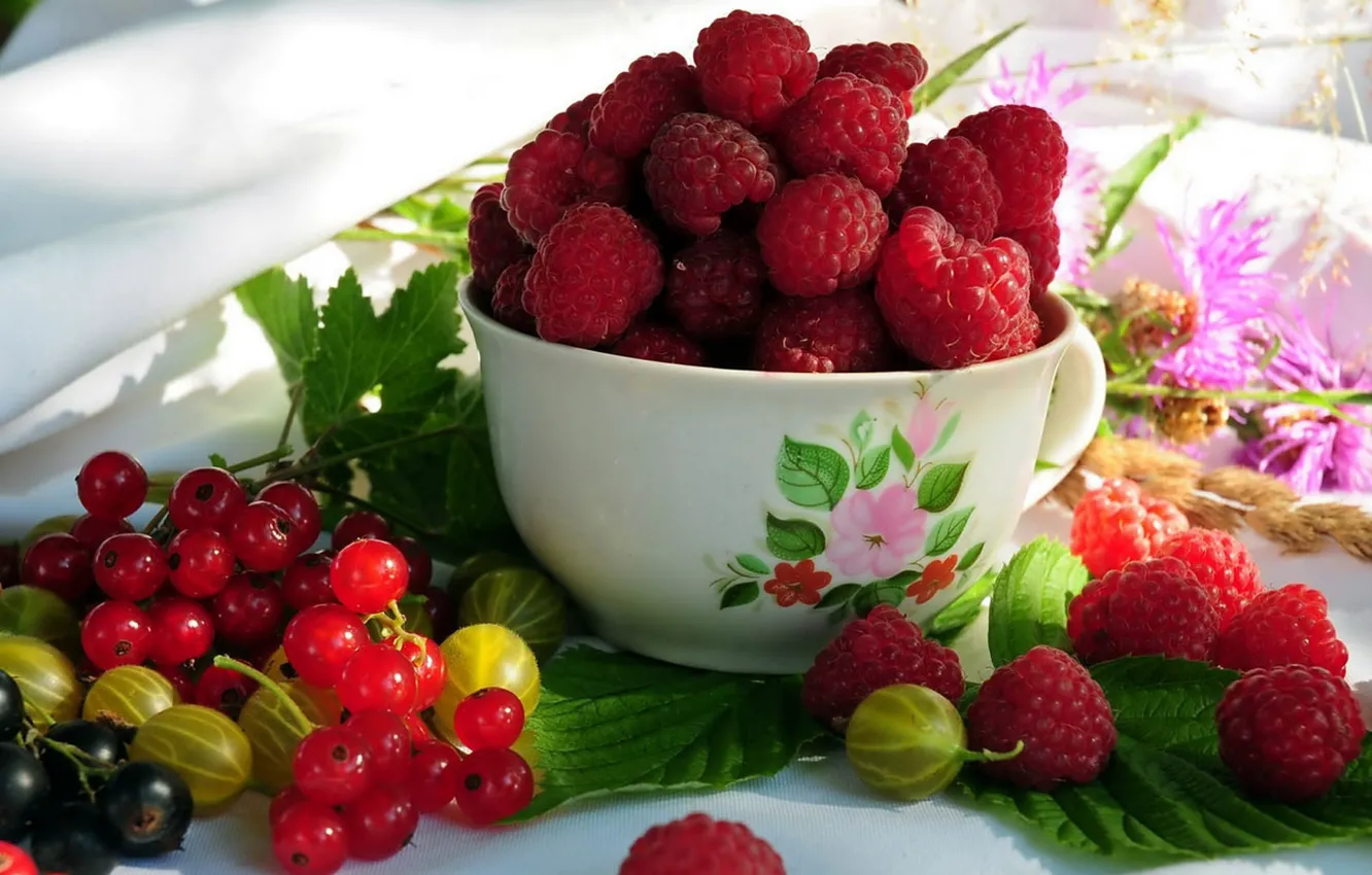 Фото обои ягоды, крыжовник, Малина, красная смородина, вкуснота