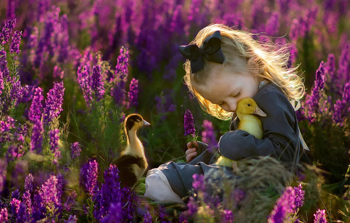 Фото обои цветы, природа, нежность, девочка, ласка, утята, ребёнок, птенцы