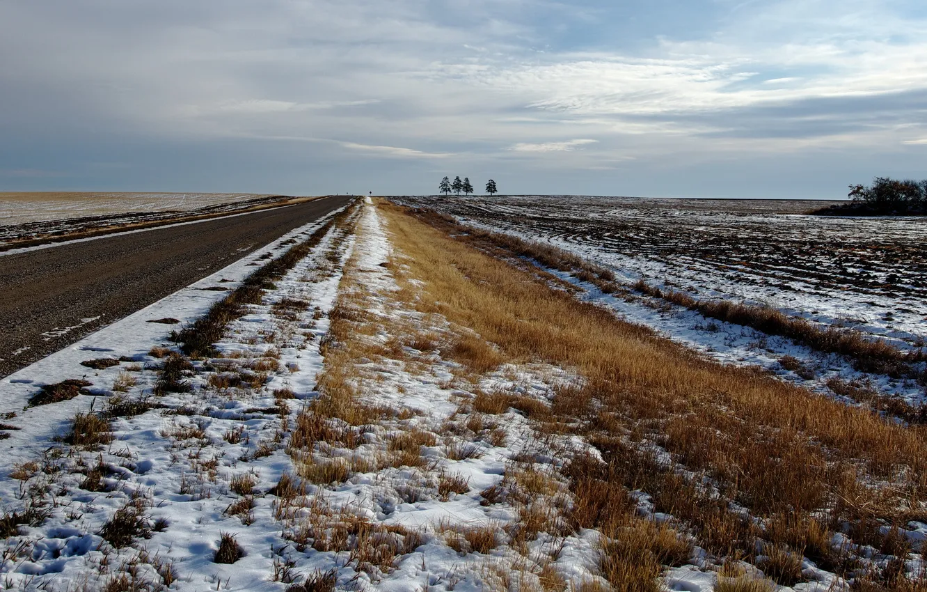 Фото обои дорога, поле, снег