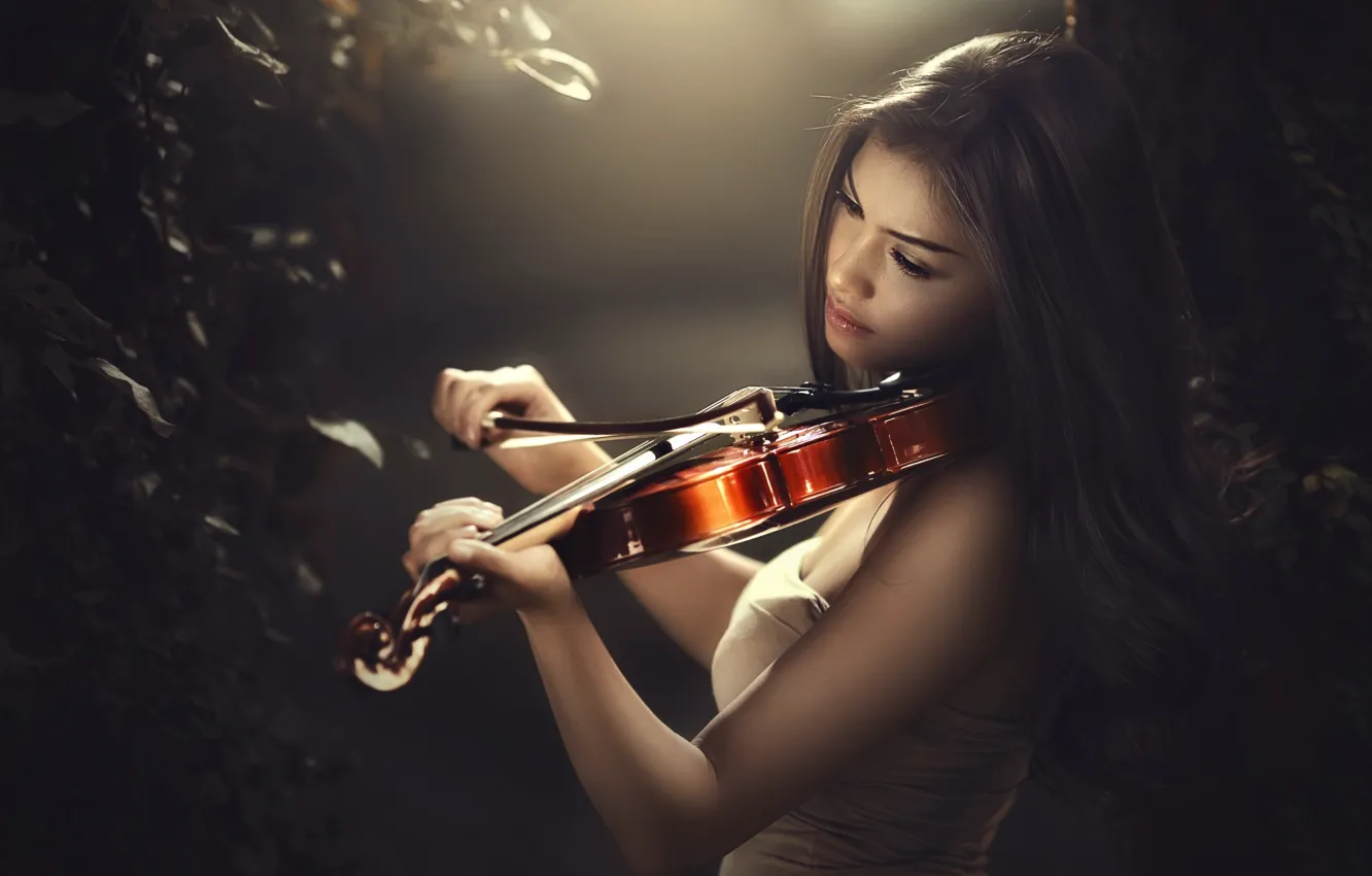 Фото обои девушка, скрипка, азиатка