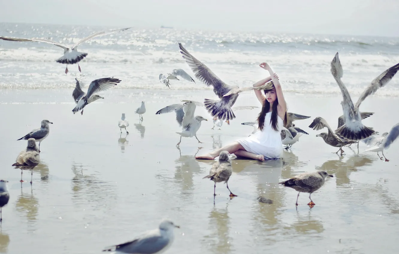 Фото обои море, девушка, птицы