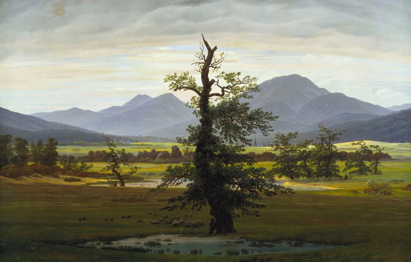 Фото обои пейзаж, природа, картина, Каспар Давид Фридрих, Одинокое Дерево