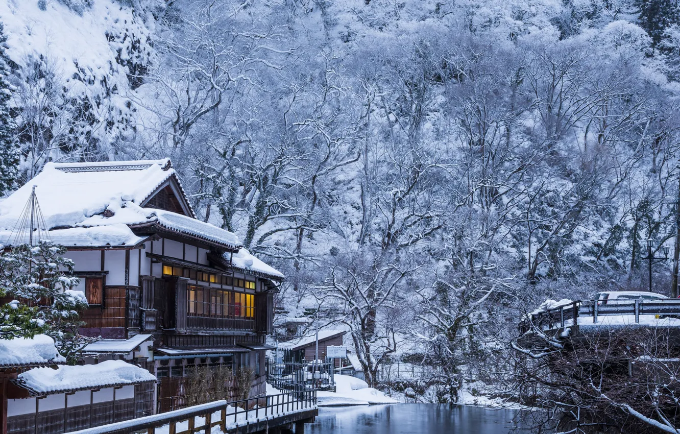 Фото обои зима, деревья, дом, река, япония, здание, Лес