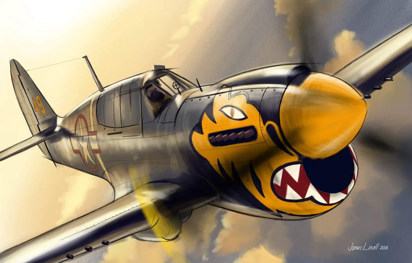 Фото обои полет, тигр, рисунок, истребитель, винт, пилот, Curtiss, P-40