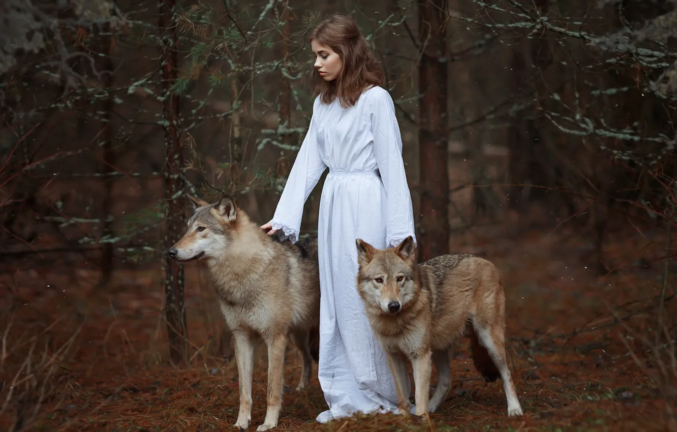 Фото обои лес, девушка, волки, Светлана Никотина