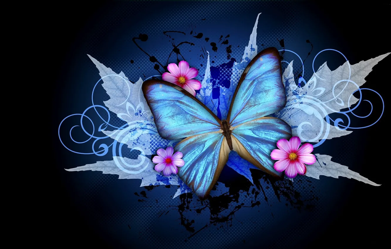 Фото обои фон, узор, бабочка