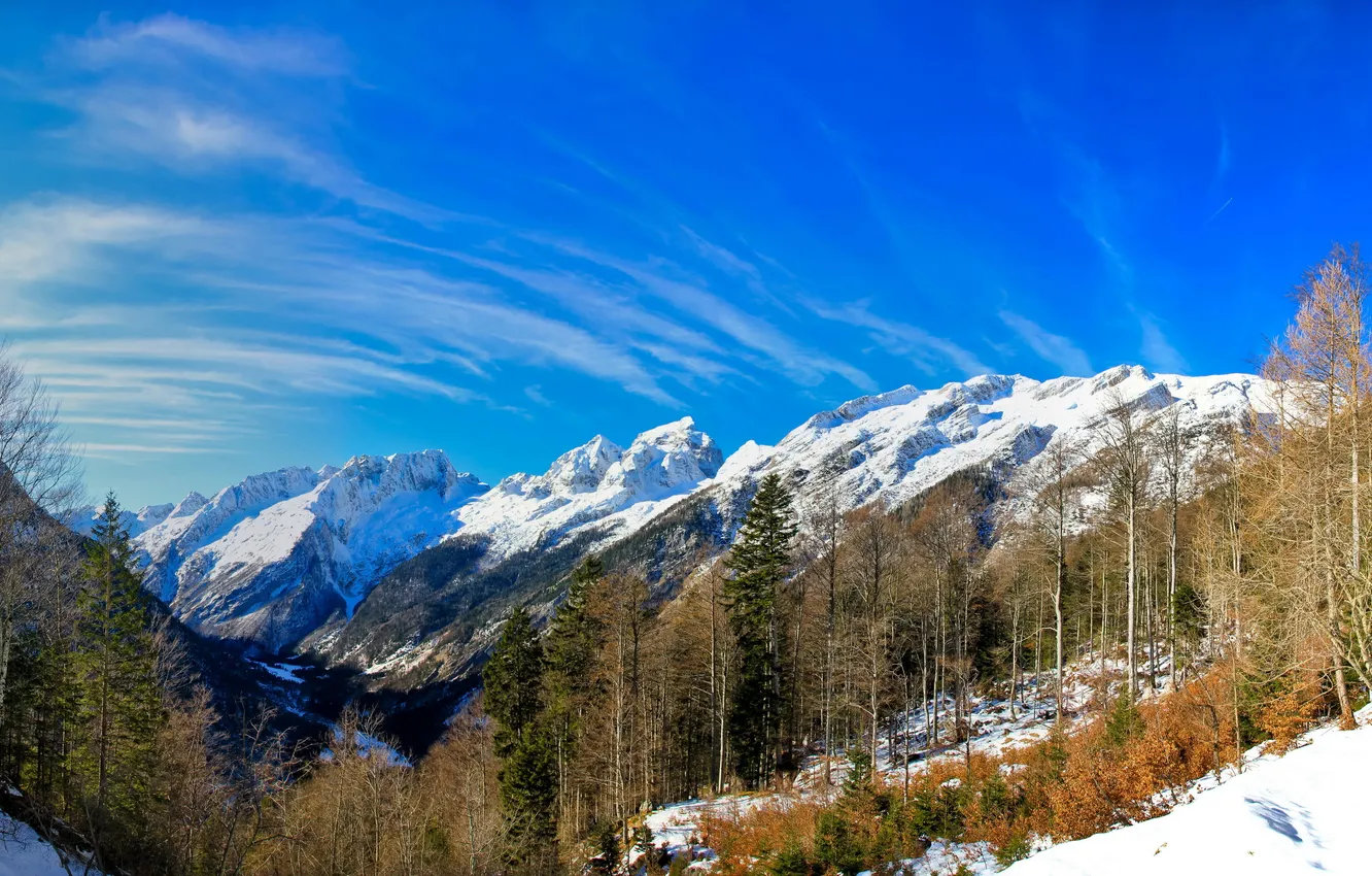 Фото обои Небо, Горы, Лес, Словения
