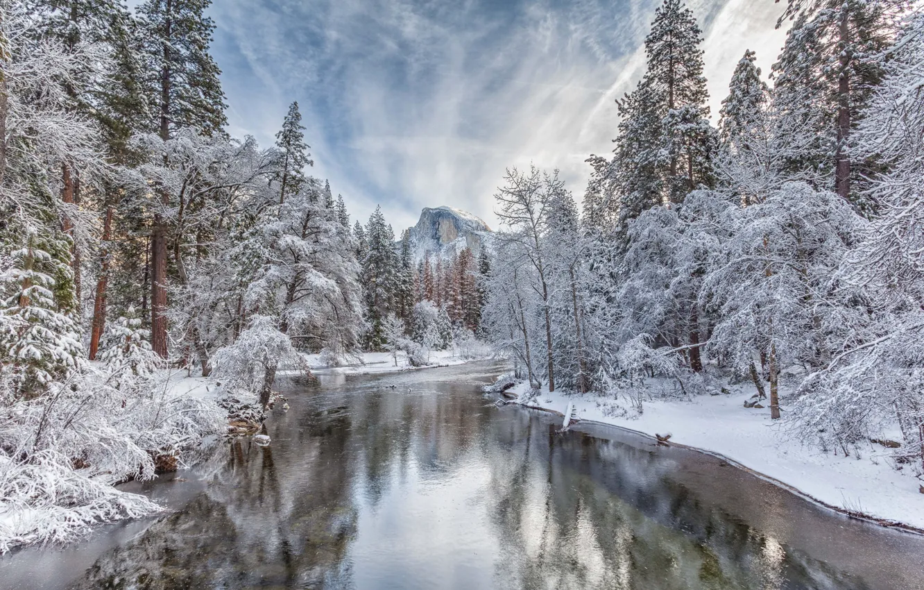Фото обои зима, лес, снег, деревья, река, гора, Калифорния, California