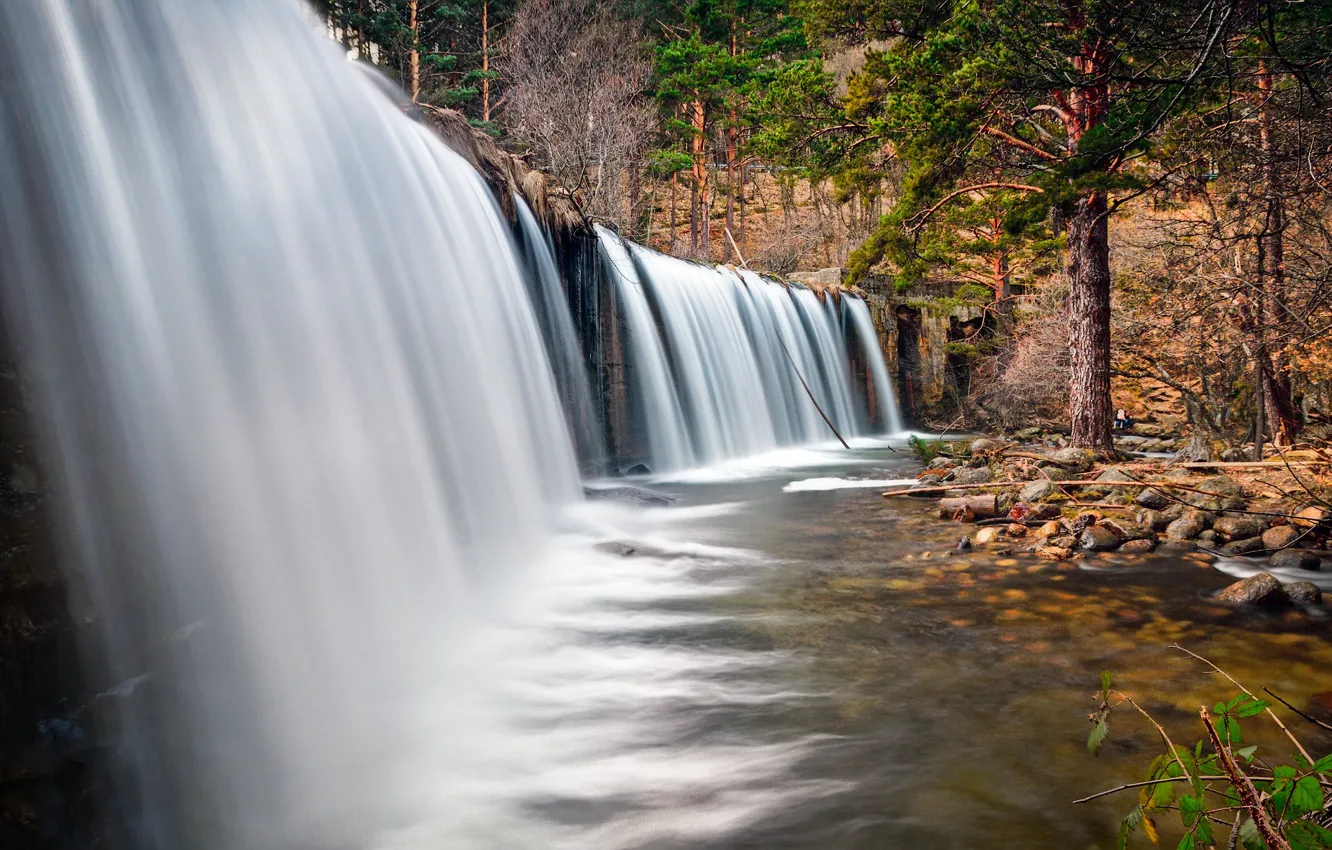 Фото обои лес, река, водопад