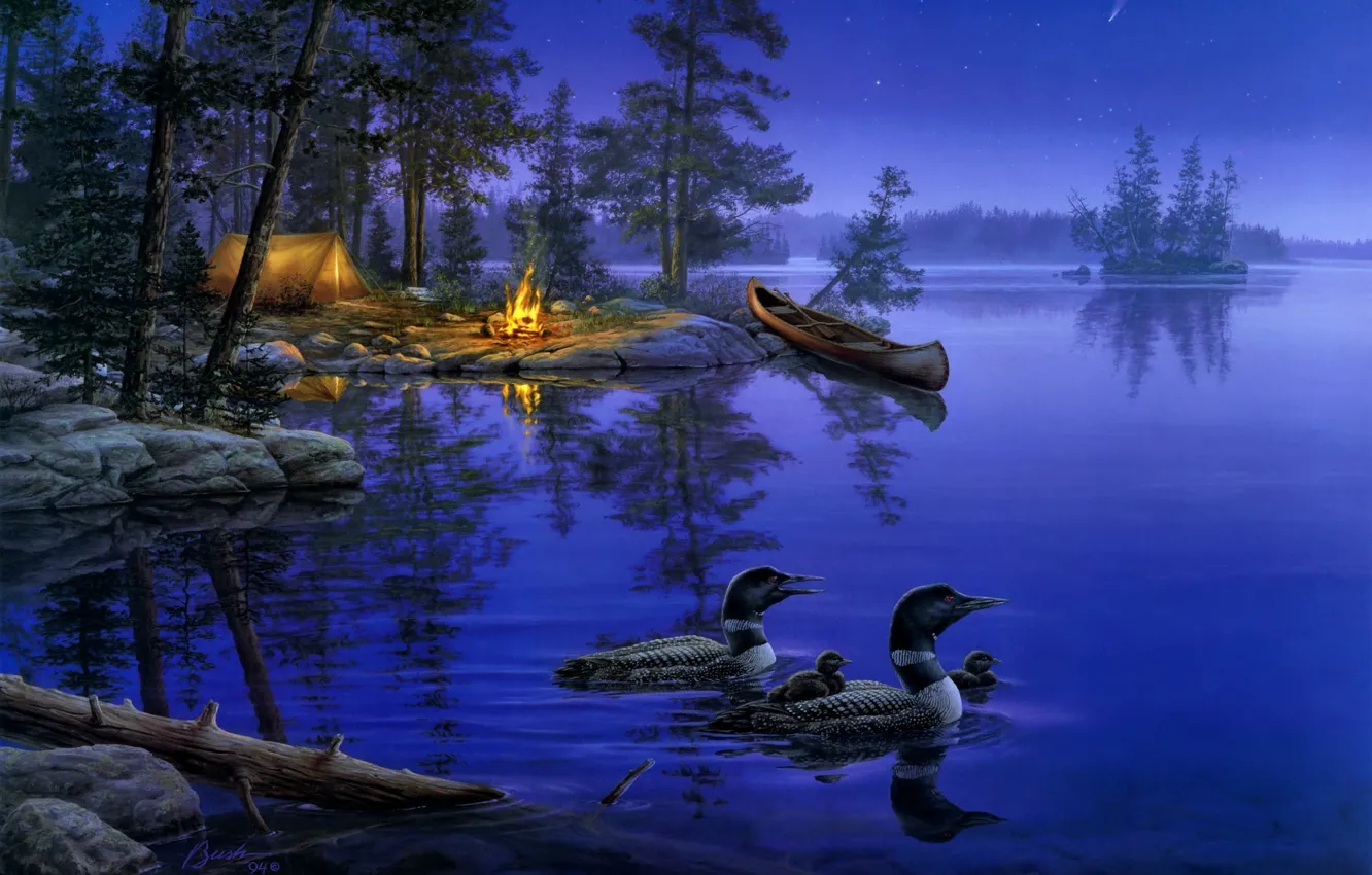 Фото обои лес, ночь, природа, озеро, огонь, лодка, звезда, утки