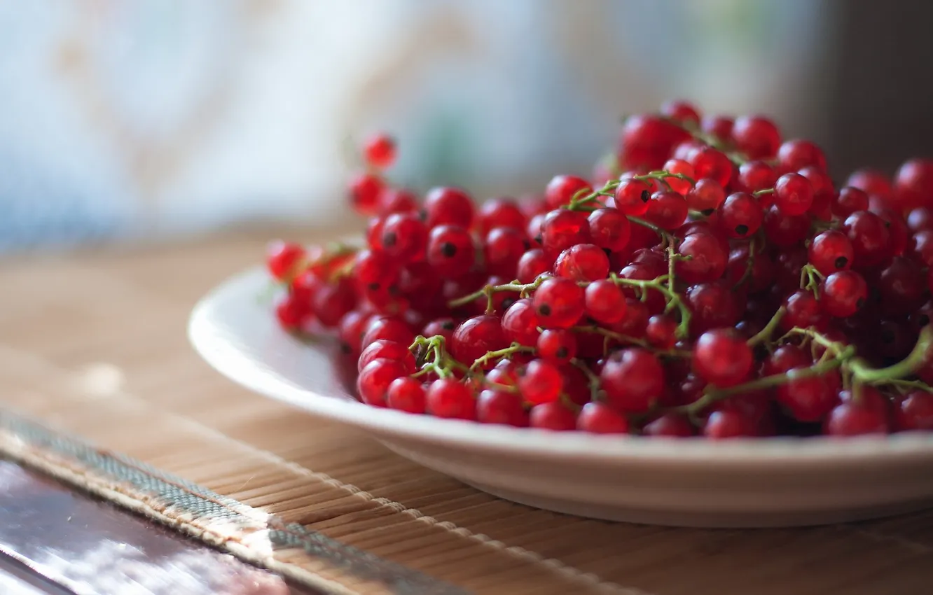 Фото обои макро, блюдце, Red currants