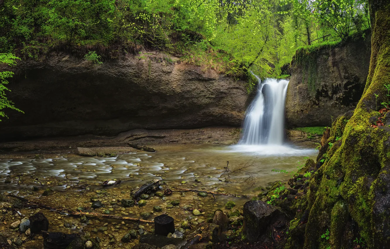 Фото обои растительность, водопад, панорама