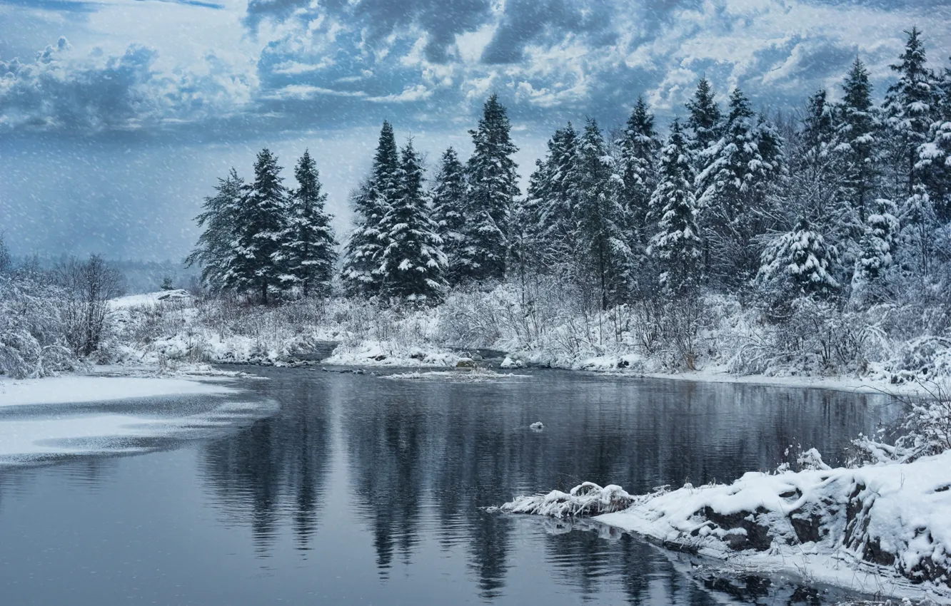 Фото обои зима, лес, снег, деревья, природа, озеро