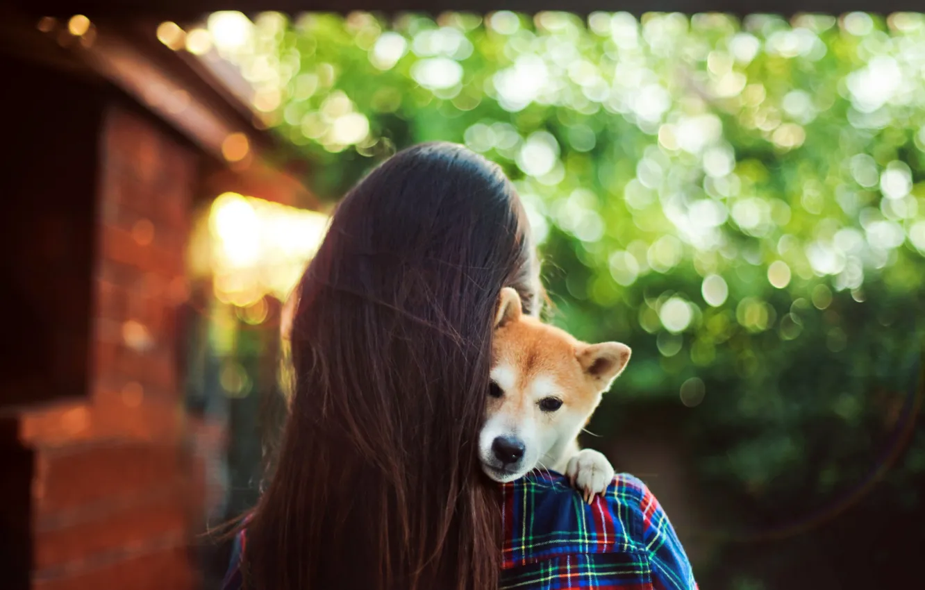Фото обои girl, Dog, puppy, long hair, photo, hug, animal, brunette