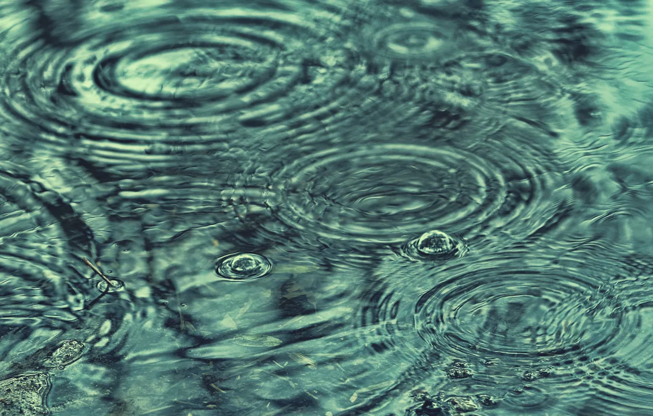 Фото обои вода, капли, дождь