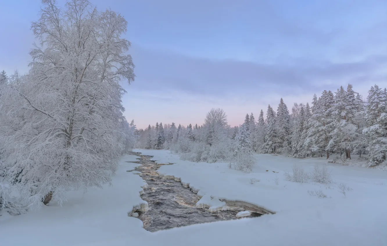 Фото обои зима, лес, снег, деревья, река, Финляндия
