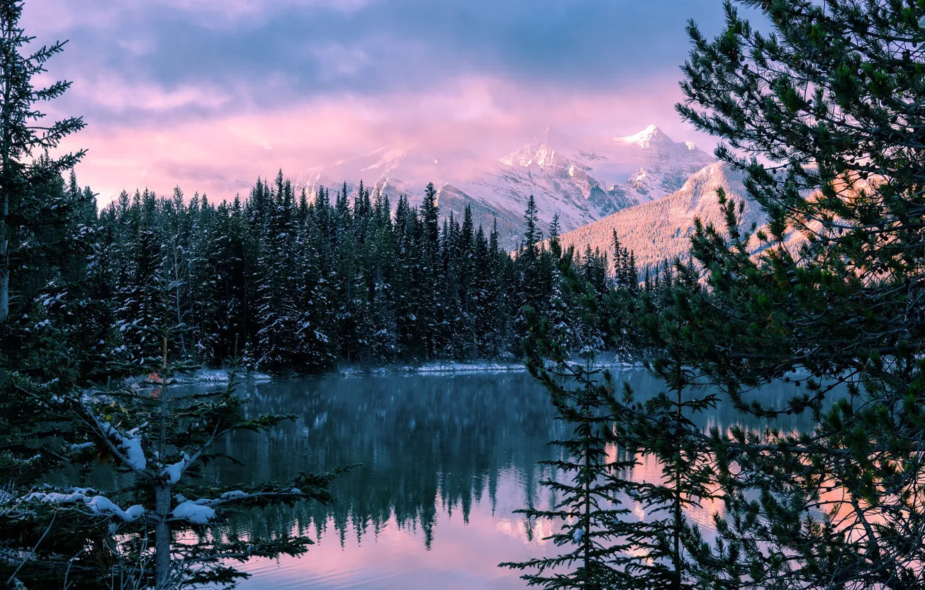 Фото обои зима, лес, облака, свет, снег, горы, ветки, отражение