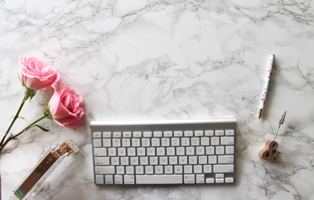 Фото обои розы, ручка, pink, flowers, roses, keyboard, marble