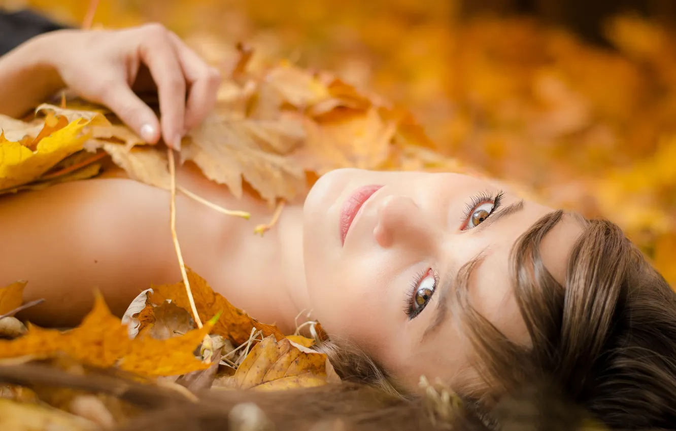 Фото обои осень, листья, портрет, боке