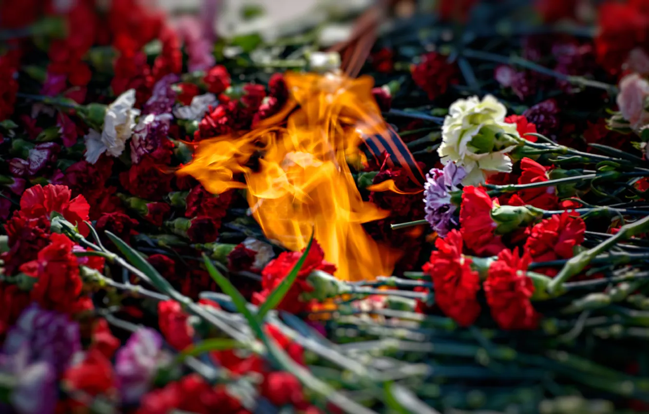 Фото обои память, огонь, пламя, ленточка, гвоздики, 9-е мая, возложение