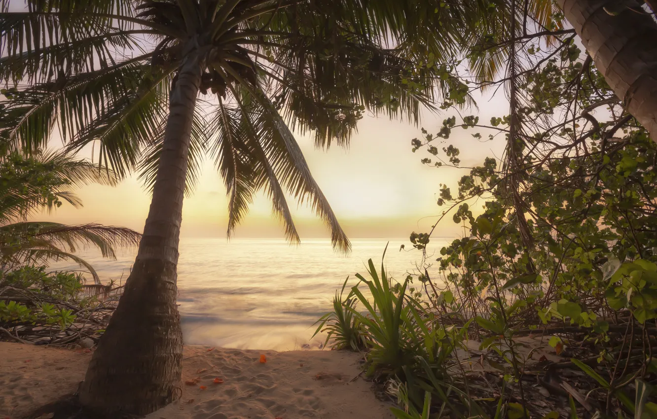 Фото обои пляж, пейзаж, природа, океан, рассвет, утро, Мальдивы, Андрей Чабров