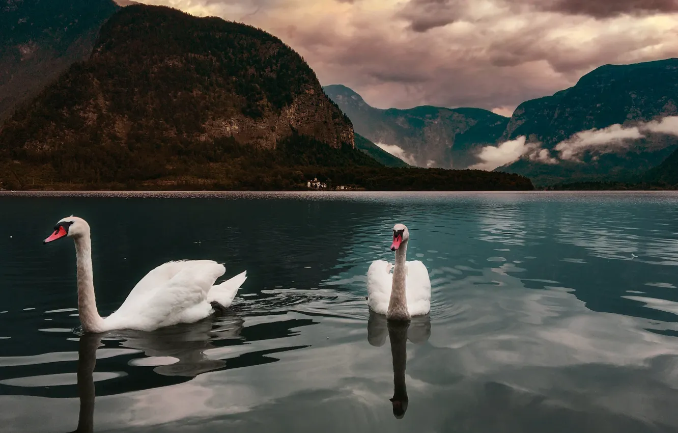 Фото обои небо, пейзаж, горы, птицы, тучи, природа, озеро, Австрия