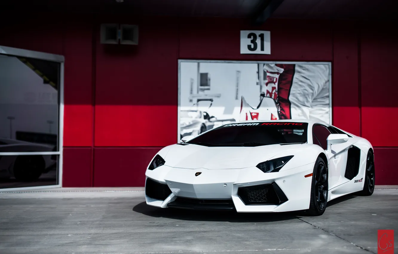 Фото обои белый, Lamborghini, суперкар, Aventador, ламборгини, авентадор