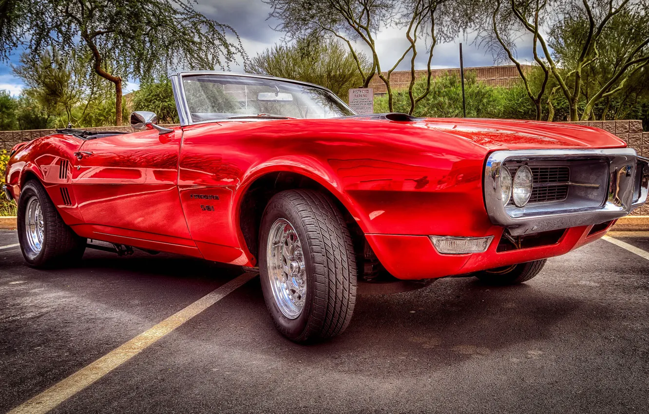 Фото обои HDR, Pontiac, muscle car, Понтиак, передок, Firebird, Фаербёд