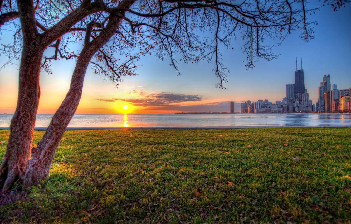 Фото обои солнце, закат, дерево, небоскребы, Чикаго, USA, Chicago, illinois