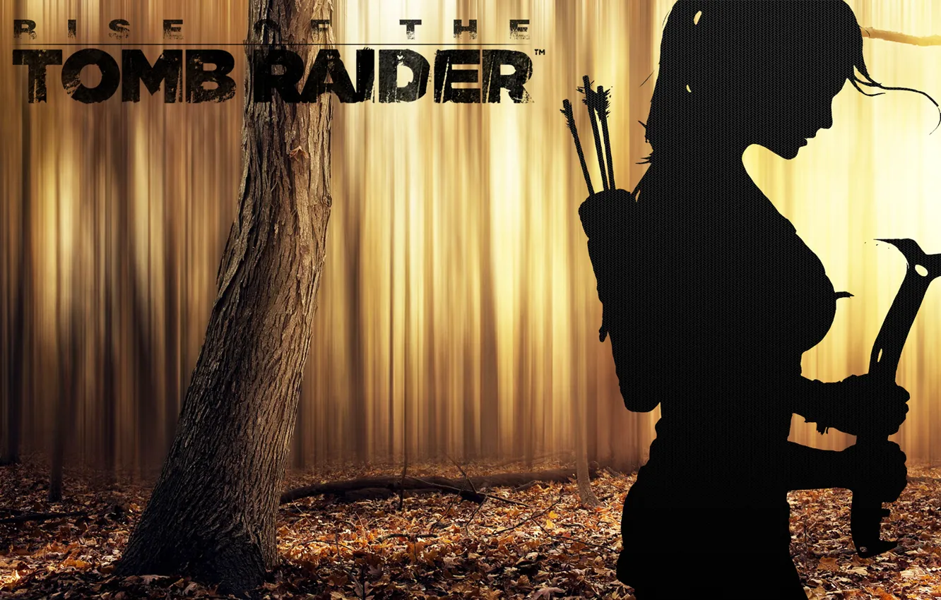 Фото обои листья, дерево, logo, стрелы, lara croft, кирка, колчан, rise of the tomb raider