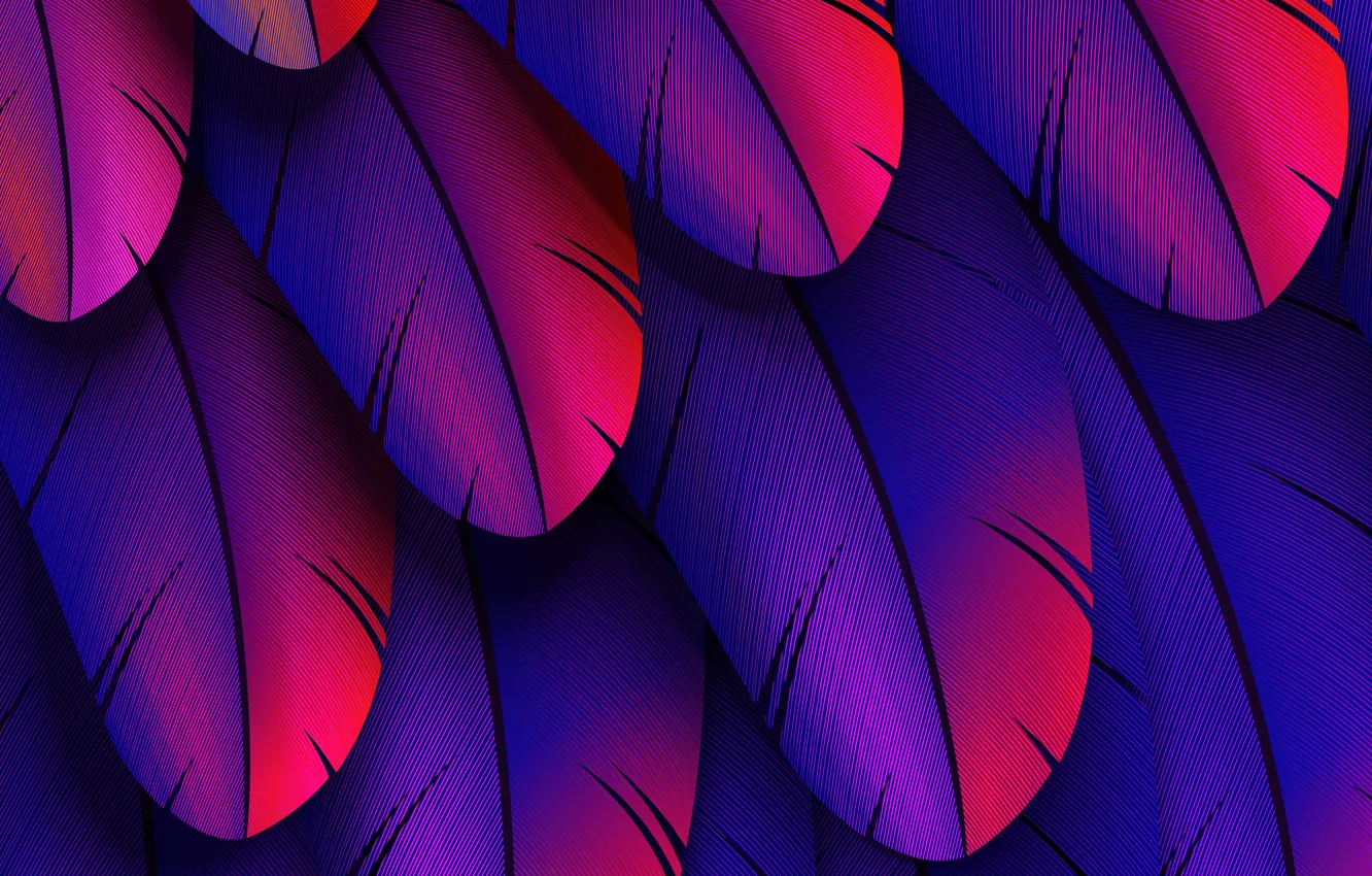 Фото обои colorful, feather, abstract 3D