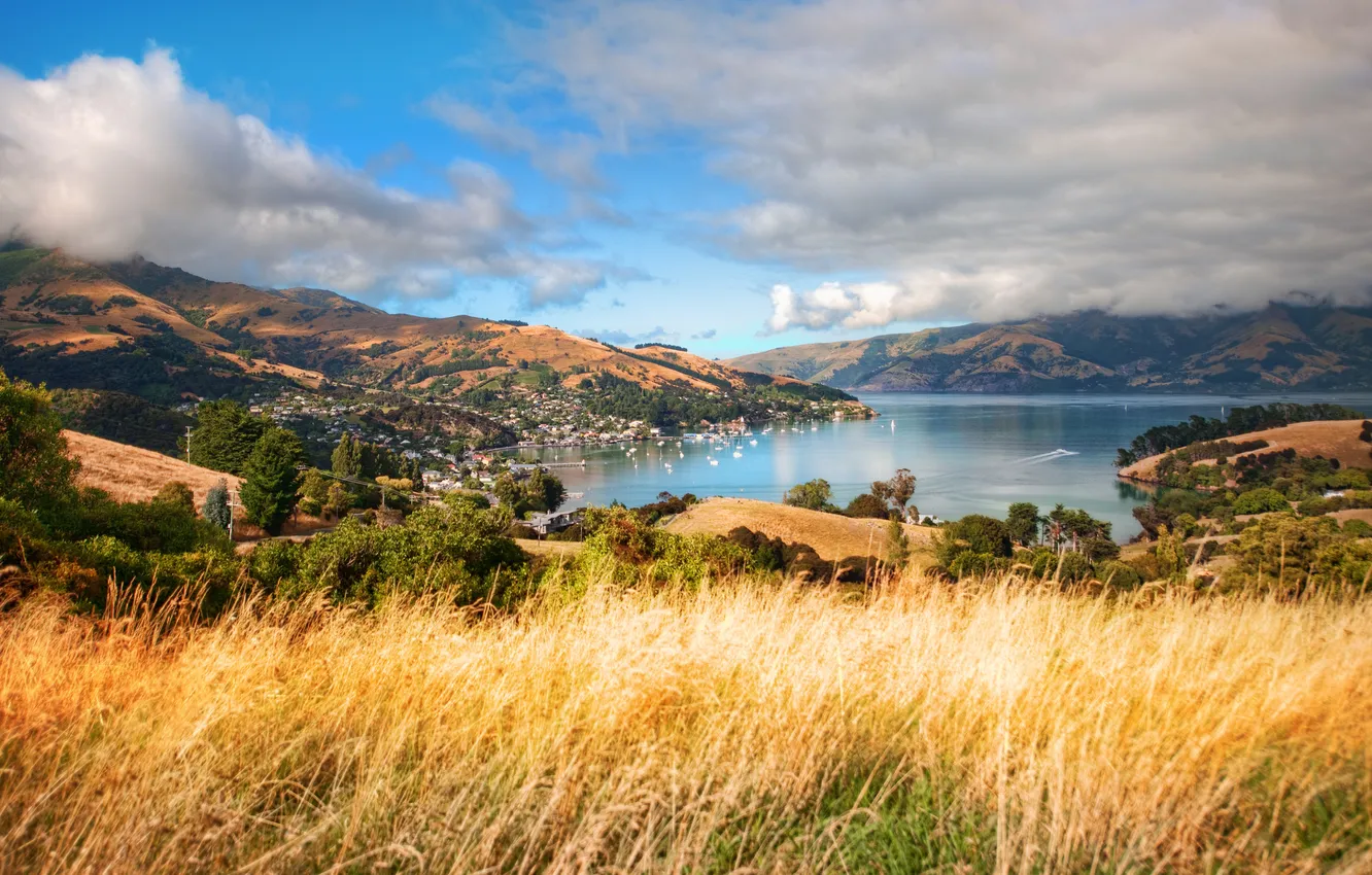 Фото обои Новая Зеландия, New Zealand, Aotearoa, south island, Akaroa