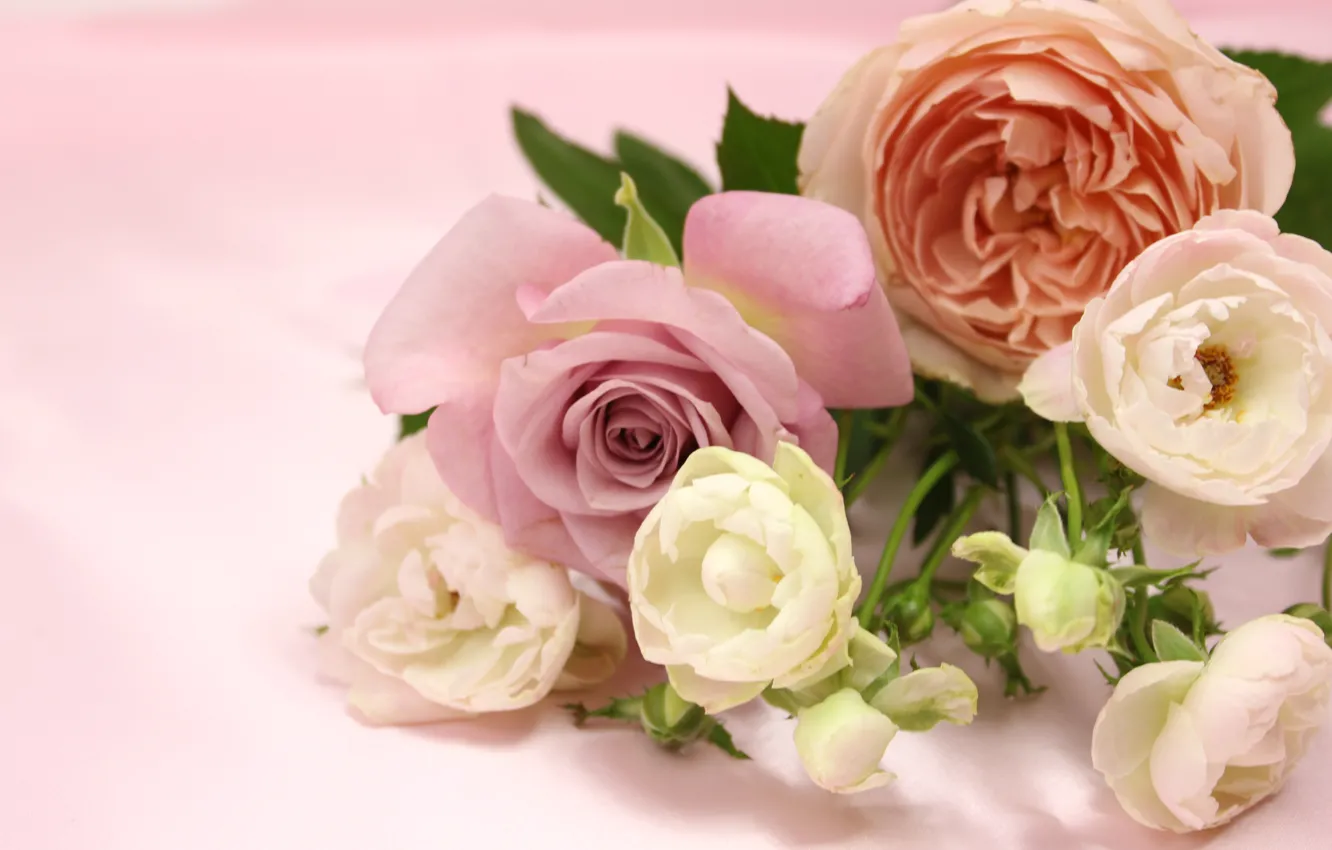 Фото обои цветы, розы, Букет