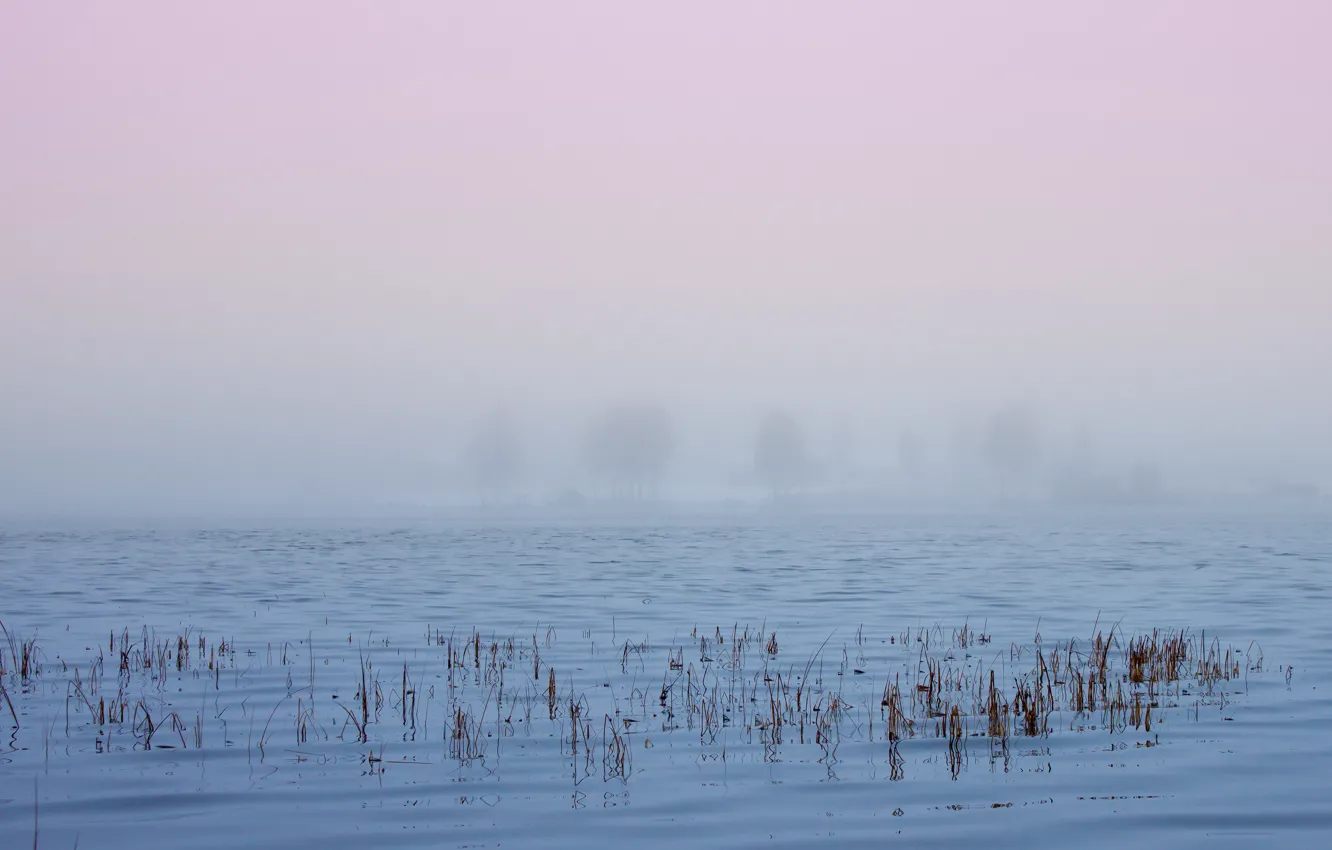 Фото обои lake, fog, sweden, norrbotten, langsel